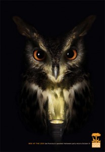 blog halloween owl