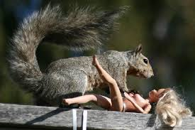 Don't worry Barbie. There's an IDC-10 for that squirrel encounter!